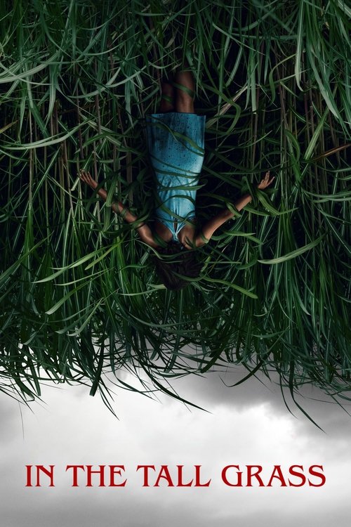 In The Tall Grass
