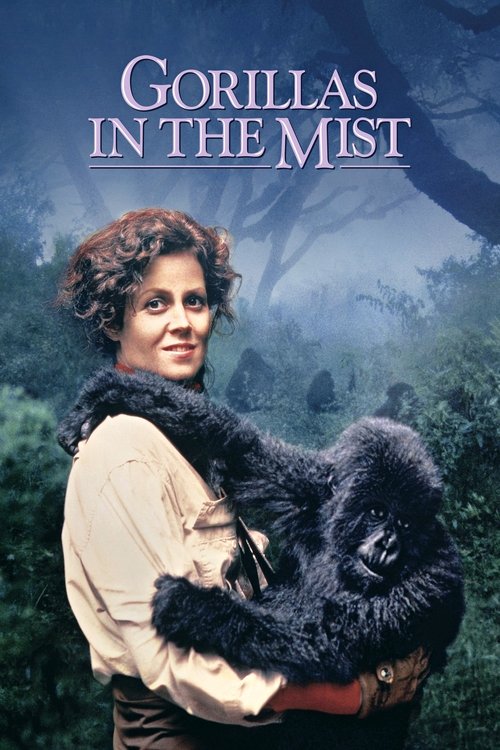 Gorillas In The Mist