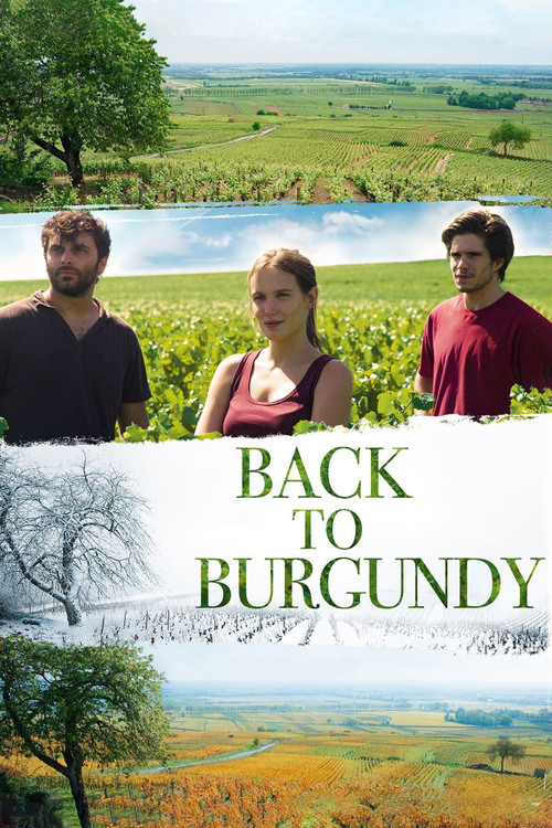 Back To Burgundy