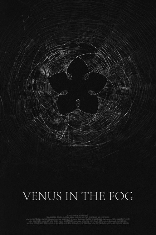 Venus In The Fog