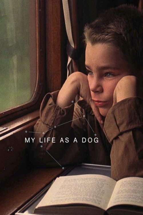 My Life As A Dog