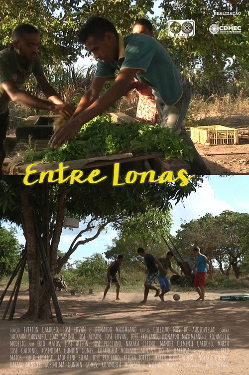 Entre Lonas