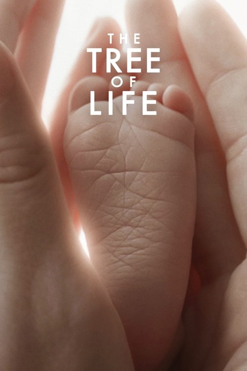 The Tree Of Life
