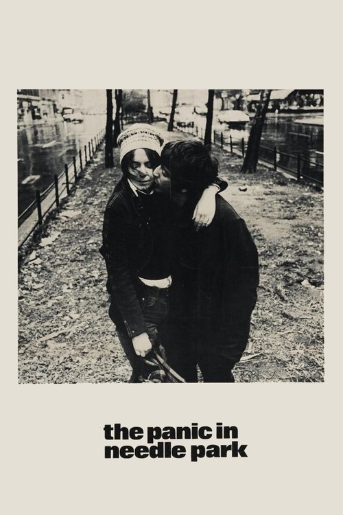 The Panic In Needle Park