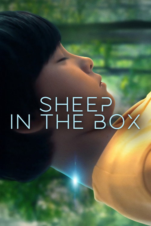 Sheep In The Box