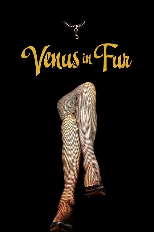 Venus In Fur