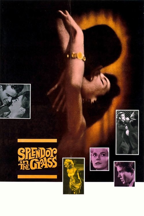 Splendor In The Grass