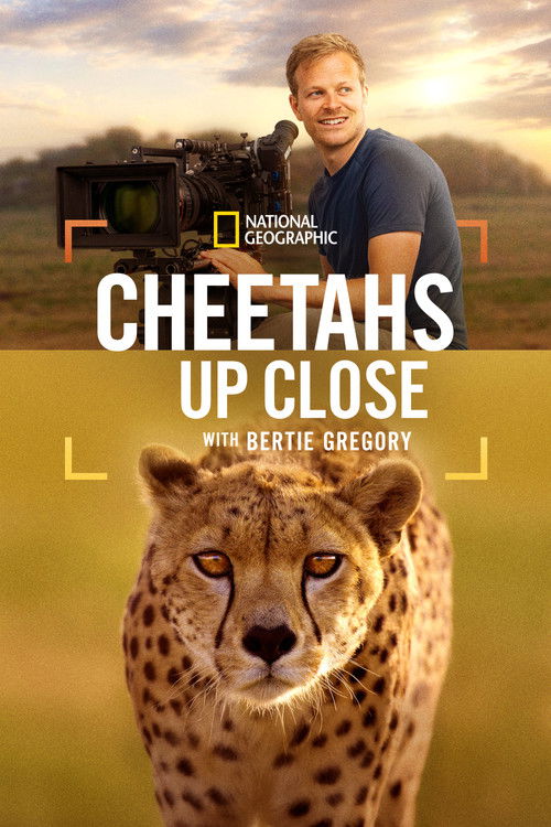Cheetahs Up Close With Bertie Gregory